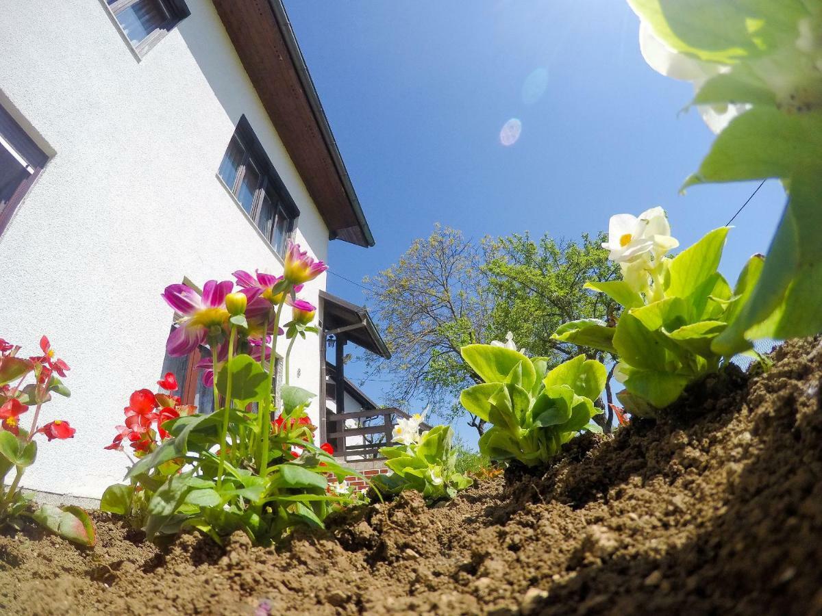 Cherry House Apartman Szluin Kültér fotó